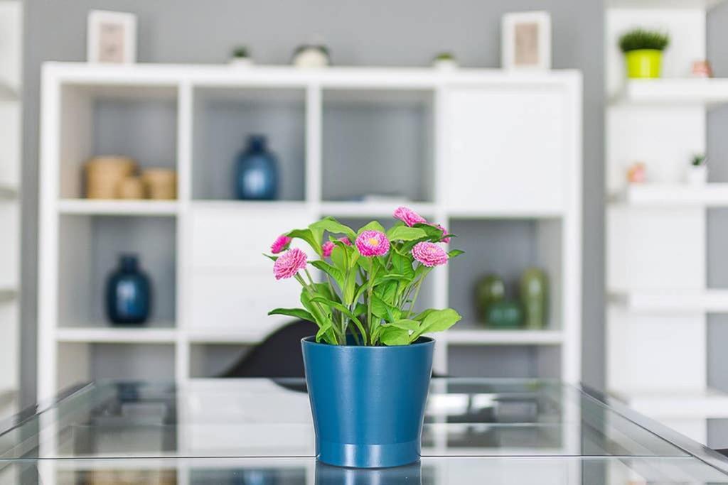 Brand New Stylish 2 Bedroom Apartment Athena Bagian luar foto
